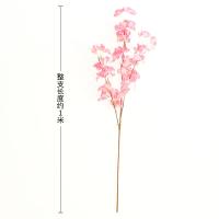uploads/erp/collection/images/Home Garden/CongDing/XU0611108/img_b/XU0611108_img_b_4